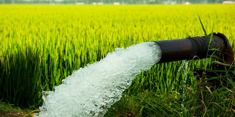 اصول آبیاری جو؛ آبیاری سنتی