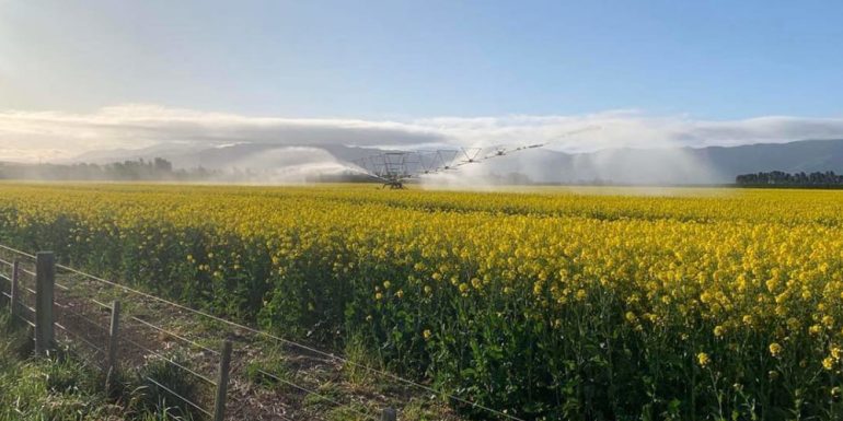 آبیاری قطره ای