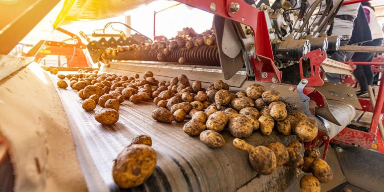 تنظیم دستگاه برداشت سیب زمینی