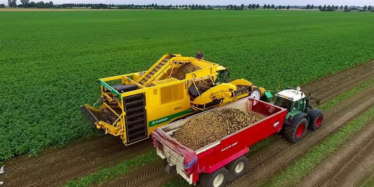تنظيم های دستگاه برداشت سیب زمینی كمباين