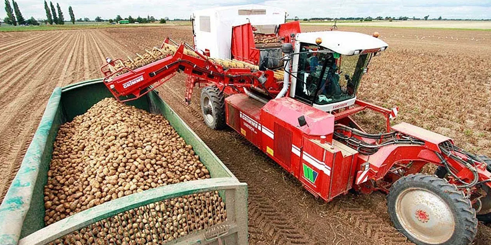 آشنایی با دستگاه برداشت سیب زمینی | انواع دستگاه سیب کن + قیمت