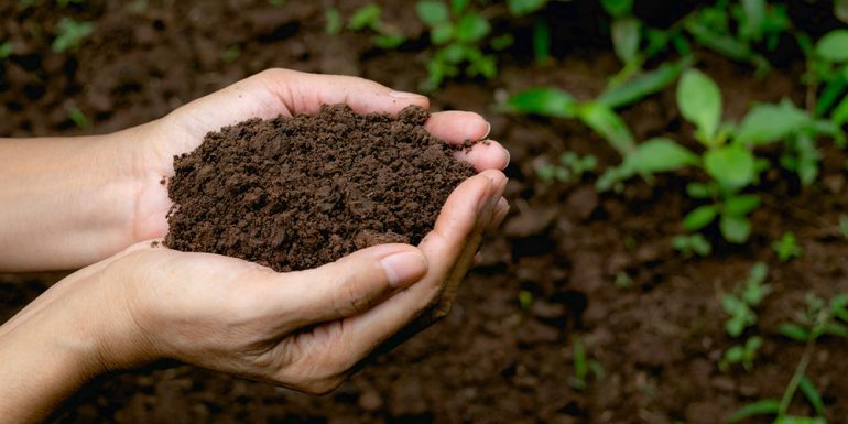 روش های بهبود بخشیدن سلامتی خاک