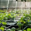 سیستم آبیاری برای سبزیجات + مناسب ترین روش آبیاری