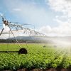 اصول آبیاری بارانی + انواع سیستم های بارانی