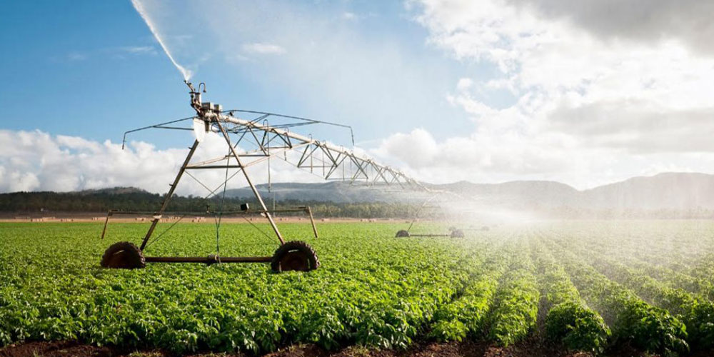 اصول آبیاری بارانی + انواع سیستم های بارانی