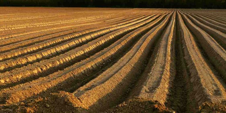 روش های آماده سازی زمین کشاورزی؛ اصلاح خاک