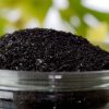 کود هیومیک اسید چیست و چه کاربردی دارد؟
