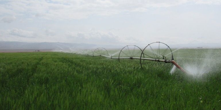 کاهش مصرف آب در کشاورزی؛ روش های صرفه جویی در آب کشاورزی