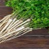 راهنمای کاشت گیاه جعفری + نکات مهم