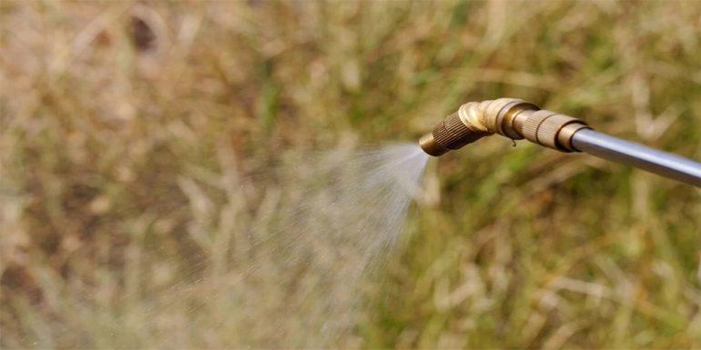 علف‌کش‌های پس‌رویشی (Post-emergent Herbicides)