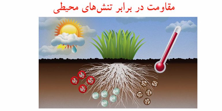 تقویت مقاومت گیاه در برابر تنشهای محیطی