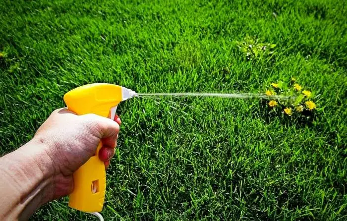 از چه سمی برای از بین بردن علف های هرز استفاده کنیم