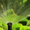 آبیاری بابلر (Bubbler): مناسب درختان و درختچه‌ها