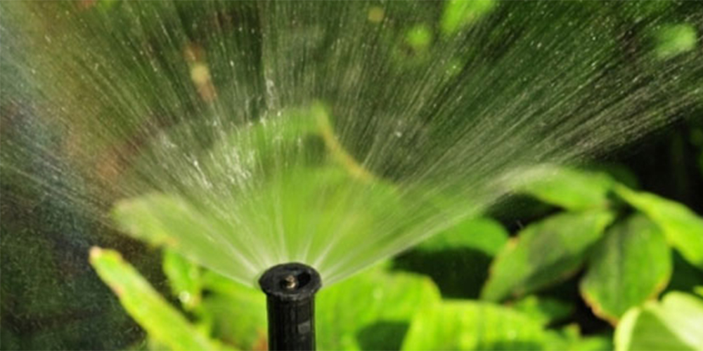 آبیاری بابلر (Bubbler): مناسب درختان و درختچه‌ها